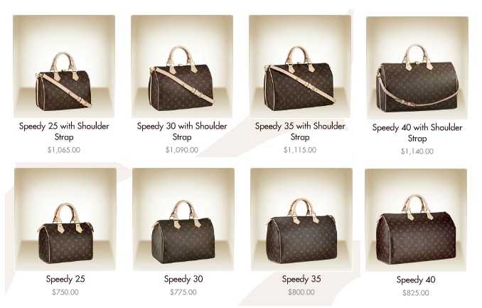 Louis Vuitton Speedy 25 vs 30 - Which One Is Right For You? - Christinabtv
